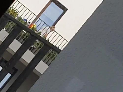 Jerking off while my mature neighbor seeing me